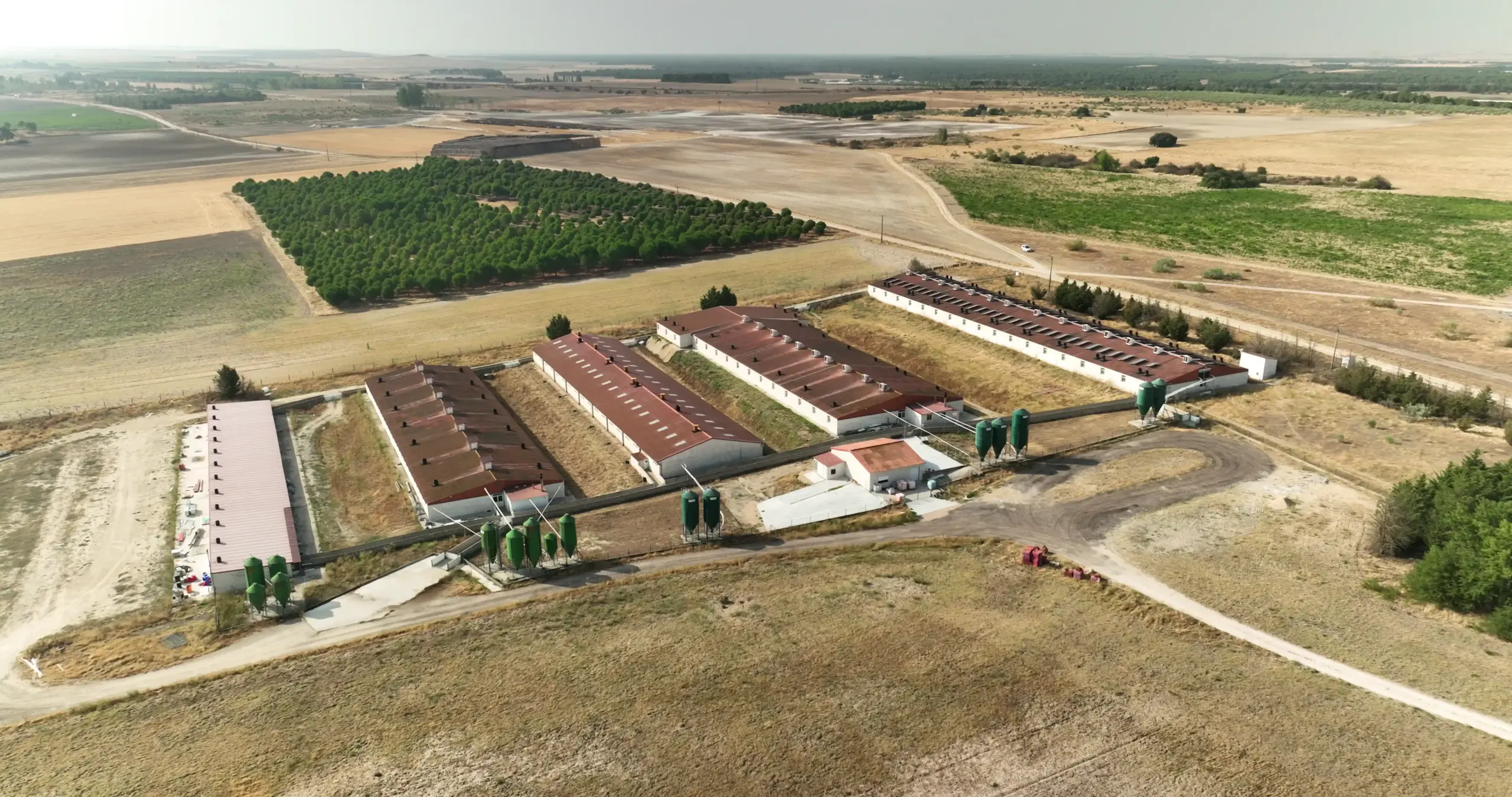 La Mejorada granja Hermanos de Pablo Arribas