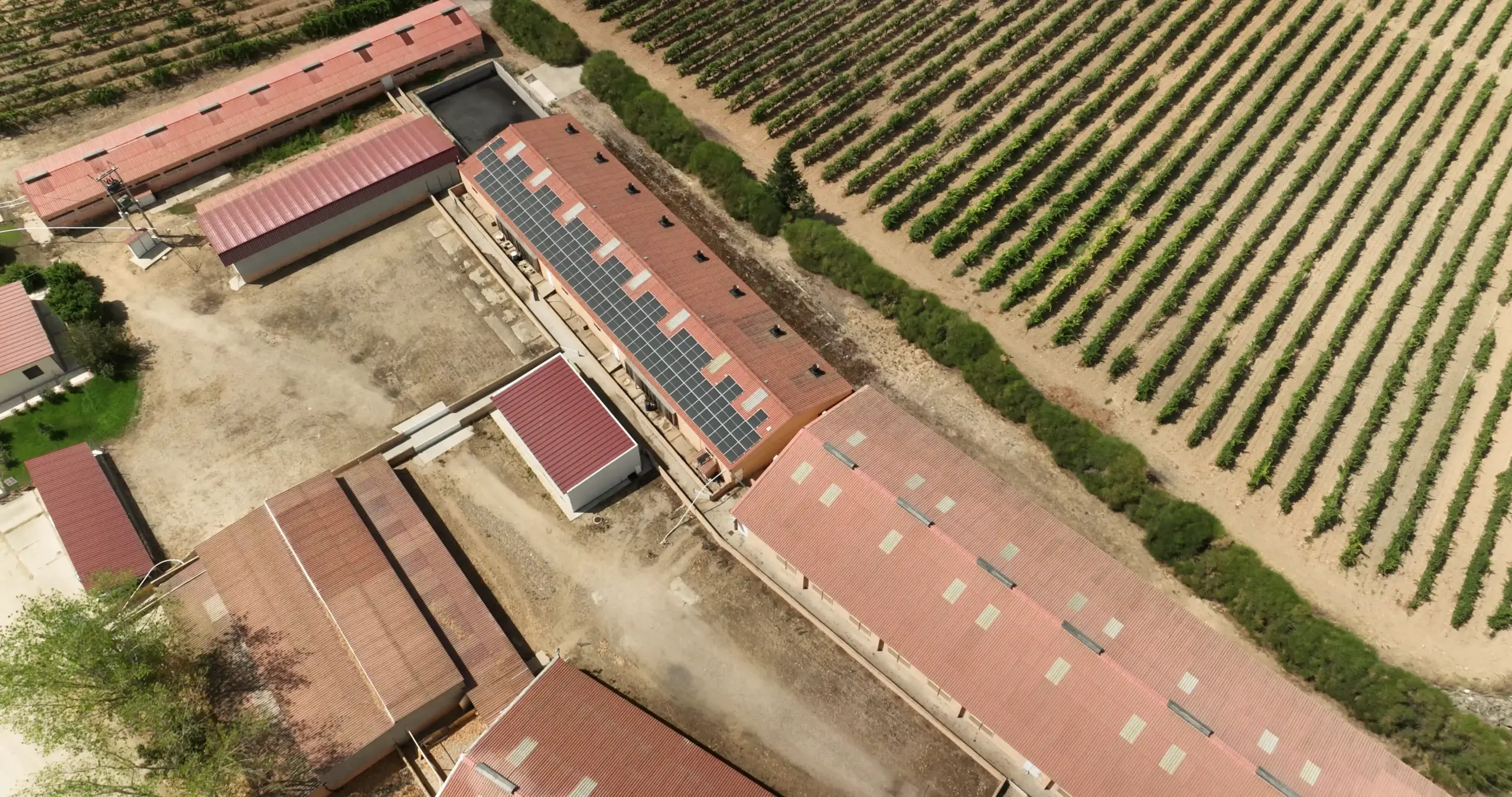 las aguileras granja de hermanos de Pablo Arribas