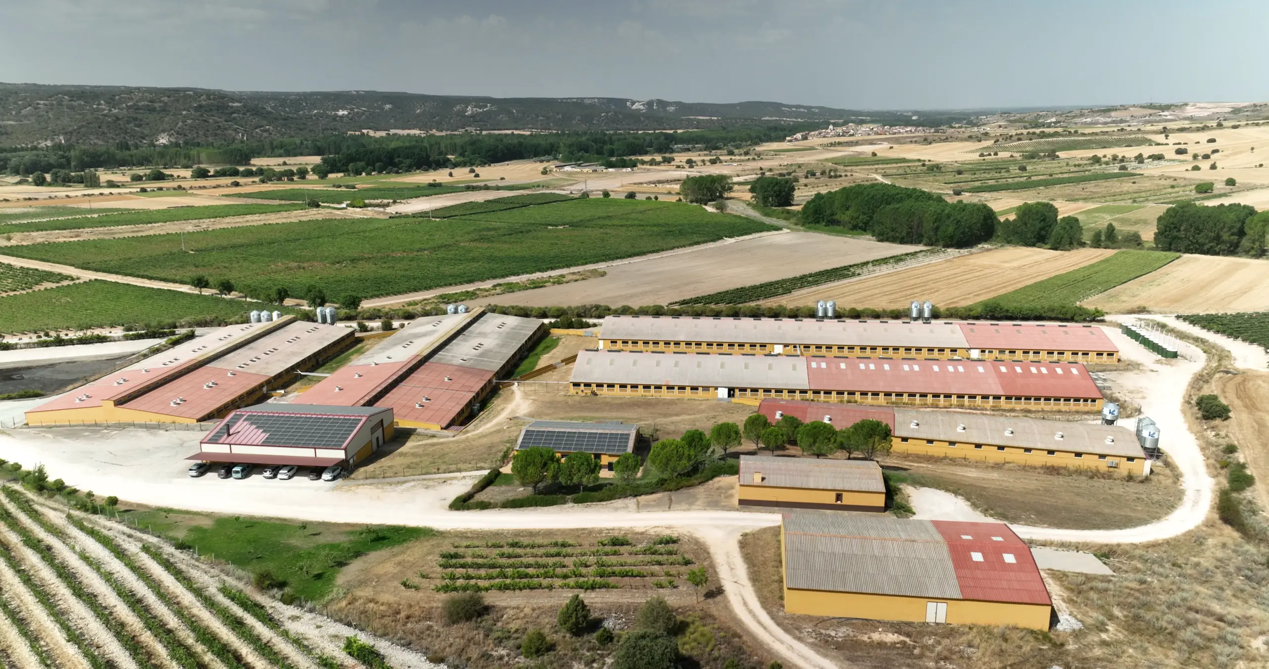 Imagen aérea de la granja Los Escobares en la que se aprecia la nueva instalación